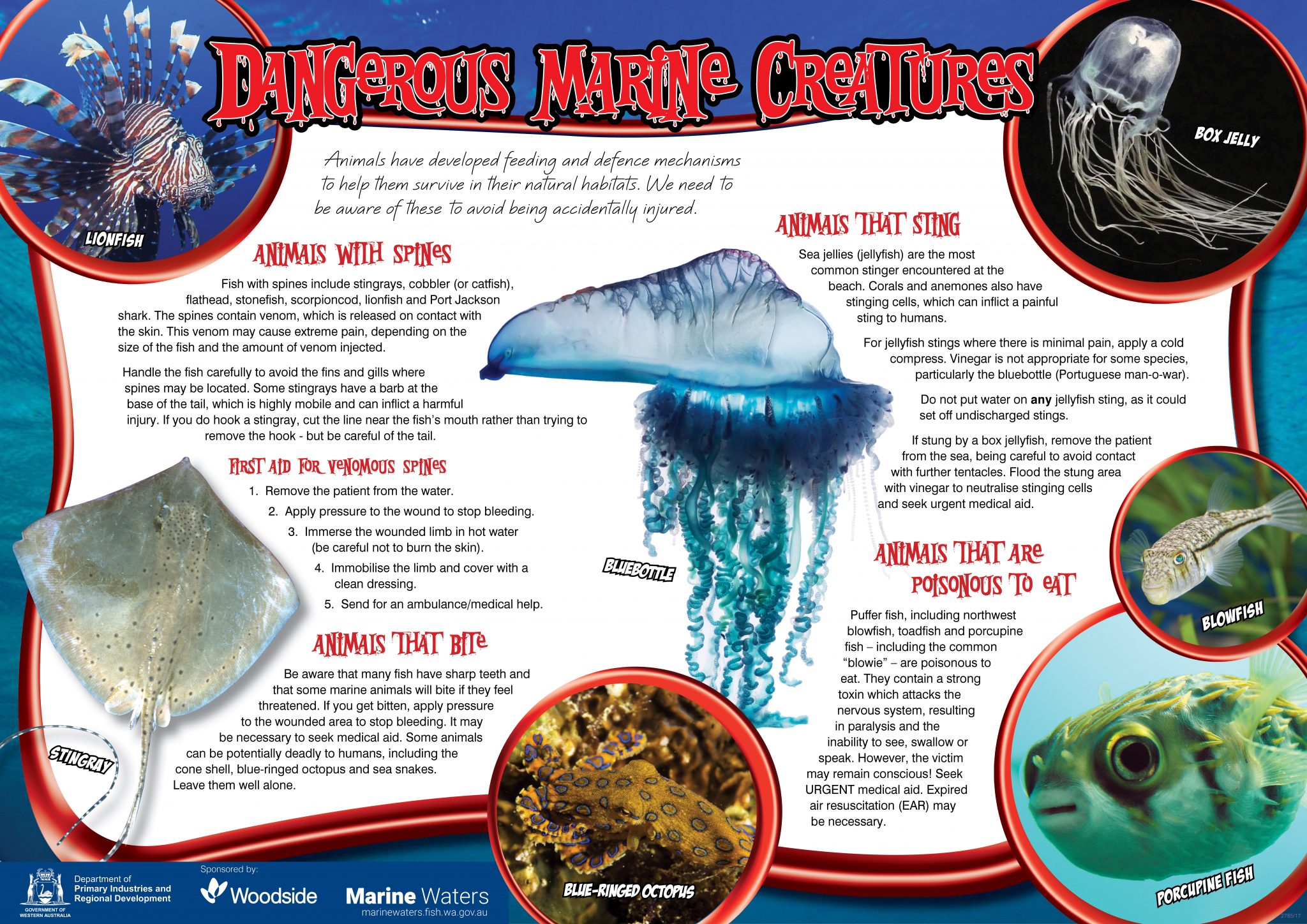 Poster: Dangerous Marine Creatures • Department of Primary Industries and  Regional Development